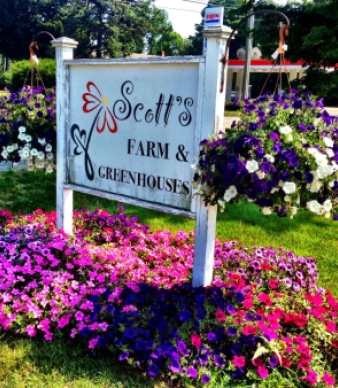 Scotts' Farm &amp; Greenhouse